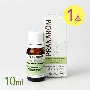 y}\N[|500~OFF!zA}IC vi [jE GWvg 10ml GbZVIC  AR tbV  tOX P-141