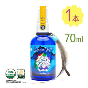 A} Xv[ X}bWOEH[^[ ƃZ[W 70ml VRz q[O   ґz Zs[