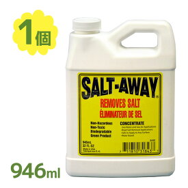 ソルトアウェイ 原液 946ml 塩害腐食防止剤 現役 船 メンテナンス 錆防止 錆 錆止め 錆び エンジン 釣り 塩害 ダイビング 釣り フィッシング 水上バイク