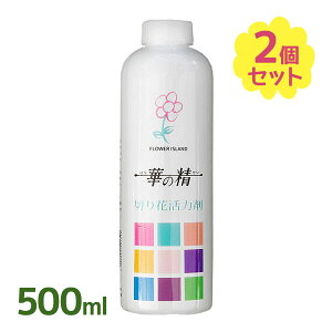 ؂Ԋ͍ ؂̐ 500ml 2Zbg pXw |pi   A t[AWg  ԑ ؉  NxL[v