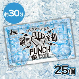 瞬間冷却パック パンチクール 25個セット 冷却パック アイスジャパン 瞬間冷却剤 瞬間冷却 叩いてすぐ冷える 冷却 冷やす アウトドア レジャー 携帯用