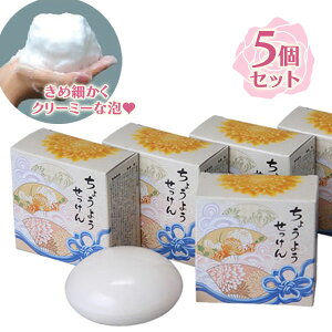 Ό  傤悤 5 Ō`Ό  F Eʊ sgp ɗD \[v  