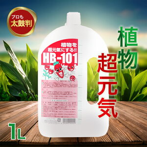  t[ Flora A͍ 1L HB-101  hb101 t  h{ S K[fjO | _ _ _ A  _͔| L@͔|