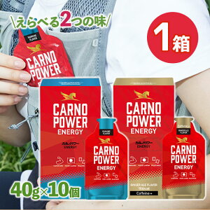 �l����i�h�{�Ȋw �J���m�p���[ENERGY 10�� �����l���� �W���W���[�G�[������ �⋋�H