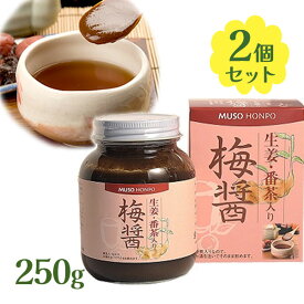 ムソー 梅醤 250g 2個セット 生姜・番茶入り 梅ペースト アミノ酸 お湯割り お茶漬け 調味料 お茶 お湯