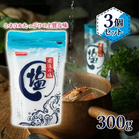 【マラソン限定クーポンで500円OFF!】塩 最進の塩 300g×3袋 国産 海水100％ 日本の塩百選 独自製法 食用 調味料 料理 おいしい 自然派 海水 海塩 天日塩 まとめ買い