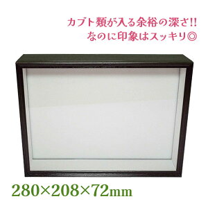 標本箱 シーラ箱 シーラケース 標準 標本用品 高級感 自由研究 趣味 コレクション 昆虫 甲虫 カブトムシ クワガタムシ カブト クワガタ