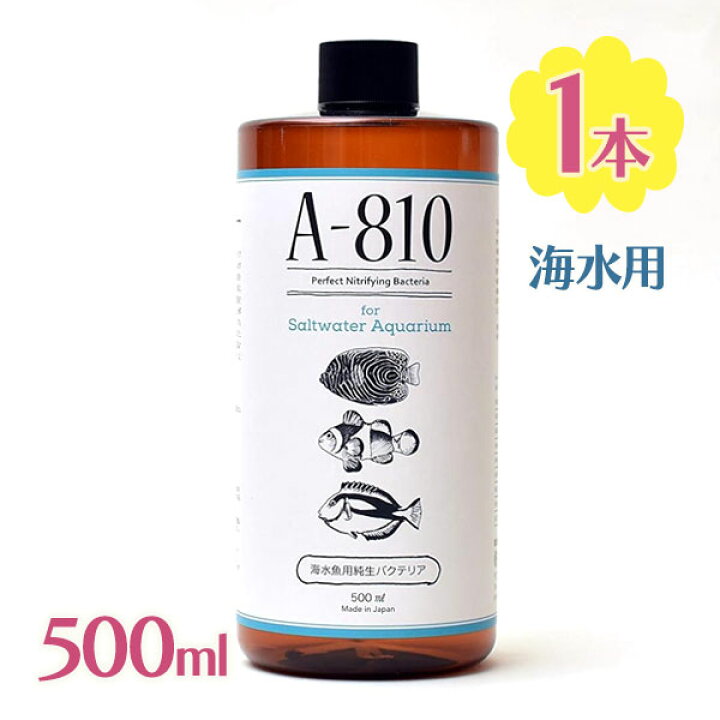 楽天市場】熱帯魚 A-810 バクテリア剤 海水用 500ml 水槽 水質 浄化 
