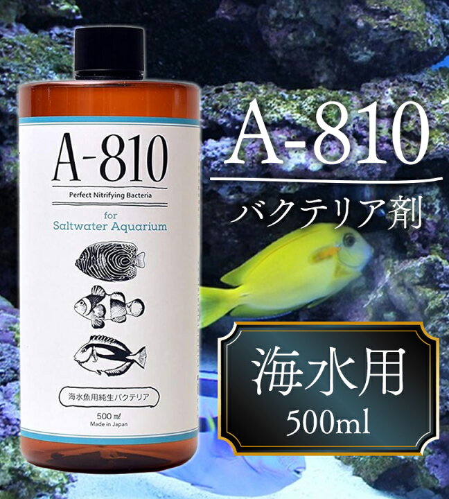楽天市場】熱帯魚 A-810 バクテリア剤 海水用 500ml 水槽 水質 浄化 
