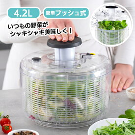 野菜水切り器 サラダスピナー 食洗機対応 プッシュ式 容量4.2L ザル ボウル 料理 便利 家庭用 簡単 下ごしらえ 調理 キッチン用品 縦長