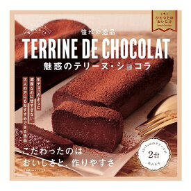 【マラソン限定クーポンで500円OFF!】バレンタイン 2025 美味しすぎるキット 魅惑のテリーヌ・ショコラ 2台分 友チョコ 義理チョコにおすすめ 小中学生