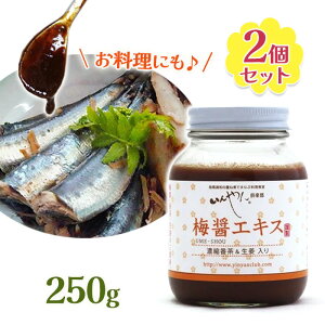 y ~݃GLX ZkԒI YL@~ VRݖgp 250g 2Zbg