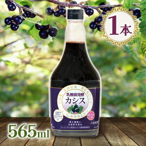 Wt}bN _۔yJVX 5{ hN 565ml 1{