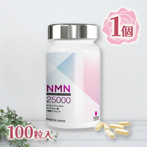 NMN Tvg { ܗL 25000mg 100 wmE_wmďC Fsgp RGUCQ10 qA_