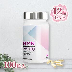 NMN Tvg { ܗL 25000mg 100×12Zbg wmE_wmďC Fsgp RGUCQ10 qA_