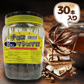【マラソン限定クーポンで500円OFF!】チョコマシュマロ 30本入 カネ増製菓 ポット入り お菓子 菓子 おかし 駄菓子 チョコレート コーティング 棒付き スティック