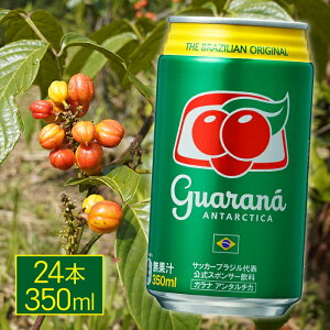 r䏤 KiA^`J 350ml 24 Y_ \tghN Kit[o[ JtFCX