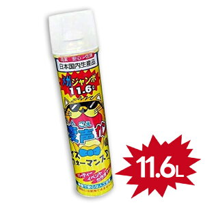 ݗV ϐJ ւ񂲂 11.6L  ς Y