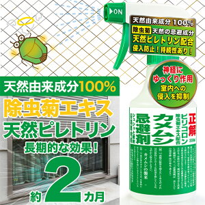 JV  Xv[ sR 300ml { VRR ΍ ߂ނ x_ O