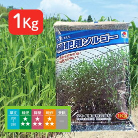 タキイ種苗 ソルガム 緑肥用 ソルゴー 1kg タネのタキイ スーダン型 早生 BSG558