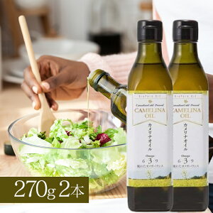 JiIC 270g×2 R[hvX@ GLXgo[WIC Ռr Ji_ Hp 퉷ۑ