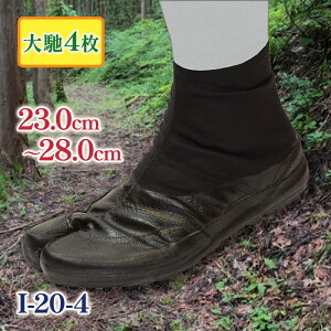  SsXpCNn 4y I-20-4 23.0 - 28.0cm n ƌC