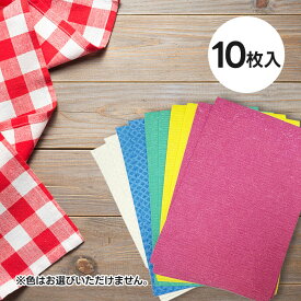 BLITZ ドイツ 超吸水フキン 無地 アソート レギュラーサイズ 10枚入 ブリッツ