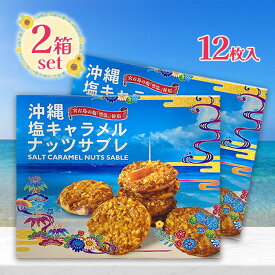 【マラソン限定クーポンで500円OFF!】南風堂 塩キャラメルナッツサブレ 小 12枚入り 2個セット 焼き菓子 サブレ お菓子 雪塩 沖縄 宮古島 個包装