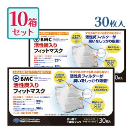 ビーエムシー BMC活性炭入りフィットマスク 30枚入 10個セット 不織布マスク PM2.5対応