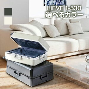 �G���h�[�� FREQUENTER LIEVE 1-530 �X�[�c�P�[�X �L�����[�P�[�X �I�ׂ�J���[