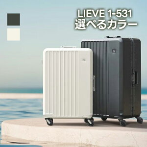 �G���h�[�� FREQUENTER LIEVE 1-531 �X�[�c�P�[�X �L�����[�P�[�X �I�ׂ�J���[