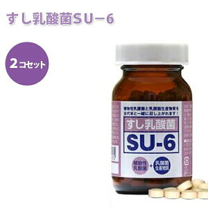 _ SU-6 150×2Zbg A_ GX[VbNX ӂȂ̓_ IWw