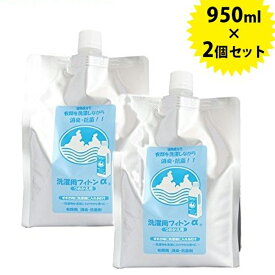 【クーポン利用で￥500オフ！】 除菌・消臭剤 洗濯用フィトンα 詰め替え用 950ml×2個セット 森の生活 フィトンアルファ 部屋干し 【スーパーセール】