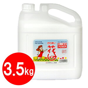  _fnY 䂢Ԏq 3.5kg×1Zbg ߃^Cv  {g e Ɩp  Lb` C |  u ꗎƂ |
