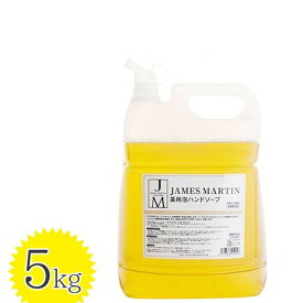 ジェームズマーティン 薬用泡ハンドソープ(無香料) 5kg 詰替用 殺菌 消毒 保湿 JAMES MARTIN