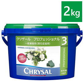 楽天市場 オアシス 使い方 フラワーアレンジの通販