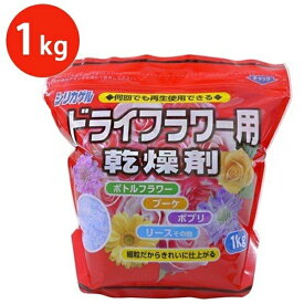 シリカゲルドライフラワーってどこで売ってる どこで買える シリカゲルドライフラワーの売ってる場所や買える場所はここ どこでカエル