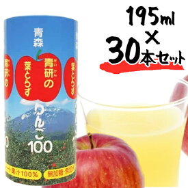 青森県産 青研 葉とらずりんごジュース ストレート100%果汁 195g×30本セット 無添加 国産 紙パック ギフト アップルジュース アップルジュース