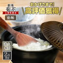 銀峯陶器 菊花 ごはん土鍋 2合炊き 1人用 飴釉 土鍋 直火・電子レンジ・オーブン可 日本製 おしゃれ 炊飯
