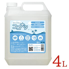 【クーポン利用で￥500オフ！】 環境洗剤(エコ洗剤) 衣類・キッチン用 ココナツ洗剤 4L 多目的 香料無添加 洗浄剤 ブルーシーインターナショナル 【～2024年4月27日(土)09:59まで】