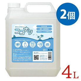 環境洗剤(エコ洗剤) 衣類・キッチン用 ココナツ洗剤 4L×2個セット 多目的 香料無添加 洗浄剤 ブルーシーインターナショナル