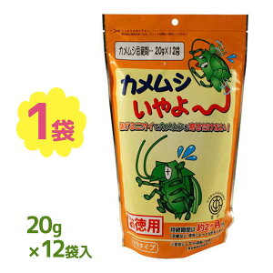 JV` p 20g×12 JVp VR ڒ ƒ뉻wH