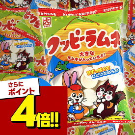 【スーパーSALEで使える!500円OFFクーポン配布中!】カクダイ製菓 クッピーラムネ 64g 20袋入 お菓子 ラムネ 駄菓子 おいしい