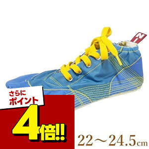 ���i�摜