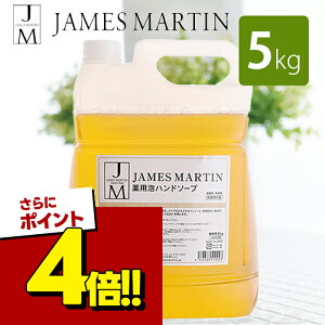 �y�X�[�p�[SALE�Ŏg����!500�~OFF�N�[�|���z�z��!�z�W�F�[���Y�}�[�e�B�� ��p�A�n���h�\�[�v(������) 5kg �l�֗p �E�� ���� �ێ� JAMES MARTIN