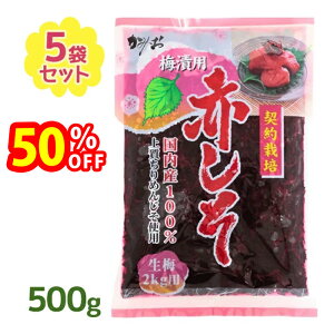 yX[p[SALEŎg!500~OFFN[|zz!zԂ t 500g×5Zbg ~Зp Y ㎿߂񂶂gp _Hi