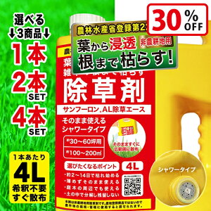 yX[p[SALEŎg!500~OFFN[|zz!z Tt[AL 4L Pi/2Zbg/4Zbg t _knp ܂Ō͂炷 Ɩp G΍