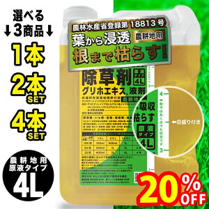 yX[p[SALEŎg!500~OFFN[|zz!zOzGLX  t t̃^Cv 41 4L _knp Ɏg _ e G XMi sv _kn Ɩp ƒp