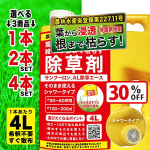 yX[p[SALEŎg!500~OFFN[|zz!z Tt[AL 4L Pi/2Zbg/4Zbg t _knp ܂Ō͂炷 Ɩp G΍