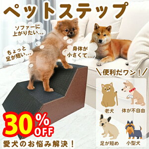 yX[p[SALEŎg!500~OFFN[|zz!z L ybgXebv X[v { 2i i{[ ~߃V[t VjA Ki i ݑ ₩